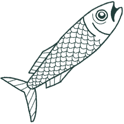 Decorative Fish