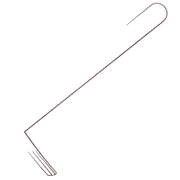 Lorraine Arm