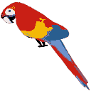 Parrot