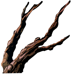 Jungle Branch
