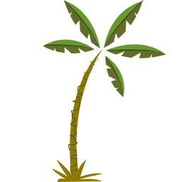 Palm Tree
