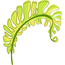 Fern Leaf 2