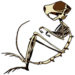 File:Sticker Victoria Lab Animals Rodent Skelly.png