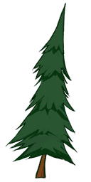 Native American Tree
