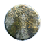 Rendered 'circle' primitive icon