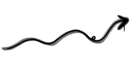 Wiggly Arrow
