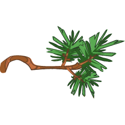 Redwood Branch