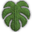 Zen Leaf 1