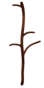 Vine 2
