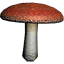 Mushroom Light