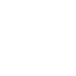 Mouse Silhouette
