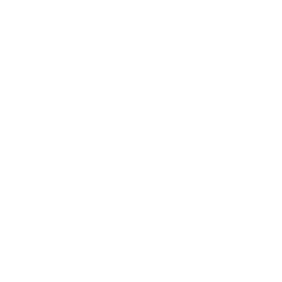 Doodle Patrick