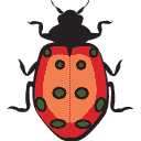 File:Sticker The Orient Ladybird.png