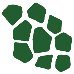 Turtle Scales