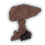 Rocks 1