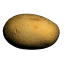 Potato