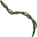 Jungle Vine