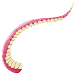 Pink Blob Tentacle 1