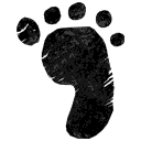 Footprint