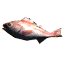 Rendered popit icon