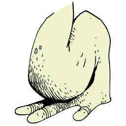 File:Sticker Ziggurat Animal Frog Leg Back.png