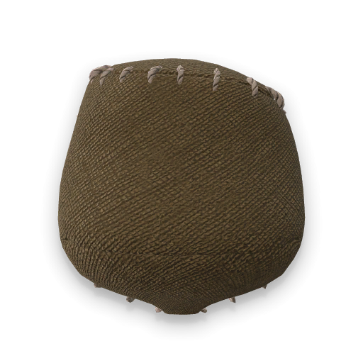 Lion Skin