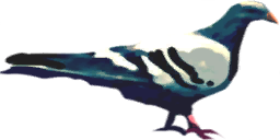 File:Sticker DLC AssassinsCreed Animal Pigeon 1.png