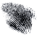 Fingerprint