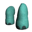 Elephant Hind Legs
