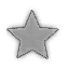 Shiny Star