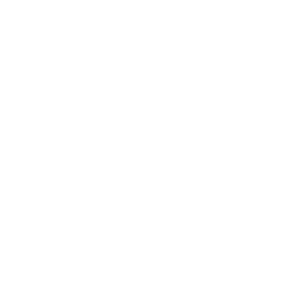 Faded Line - Thick White