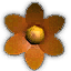 Orange Flower