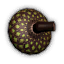 Nut