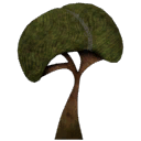 Mushroom Tree