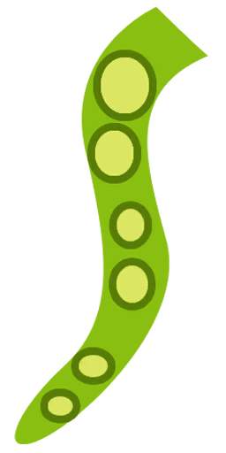 File:Sticker Zen Animal Tentacle.png