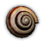 Snail Shell