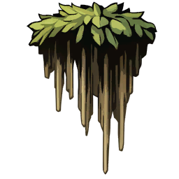Jungle Moss