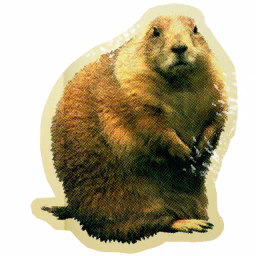 File:Sticker Unthemed Gopher Early.png