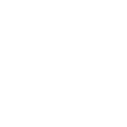 Woodcut Fish