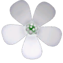 White Flower