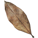 Dead Leaf
