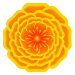 Marigold