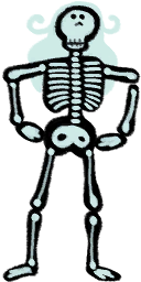 Standing Skeleton