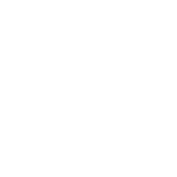 White Butterfly