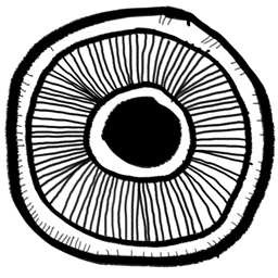 File:Sticker Unthemed Doodle Eye.png