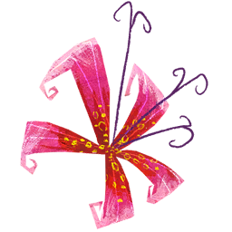 Pink Flower