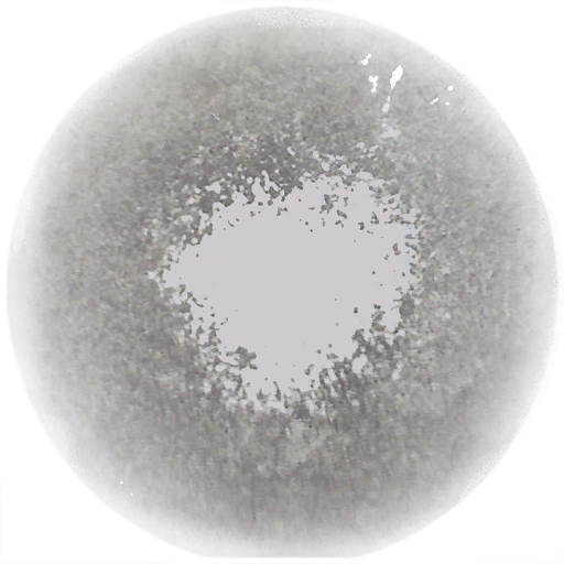 File:Sticker Dimensional Doorways Swamp Drum Damage 1.png