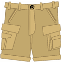 Khaki Shorts