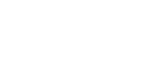 Brush Block