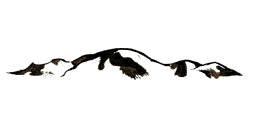 Low Mountains